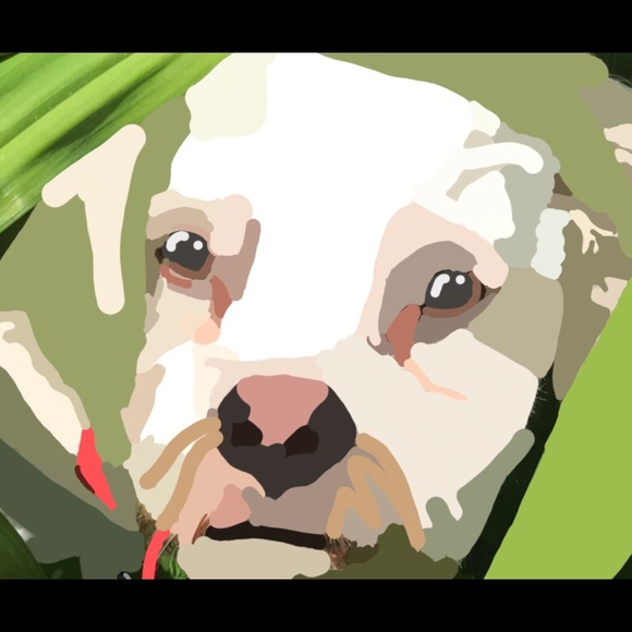 Meet your Posher, Caley - Picture 1 of 2